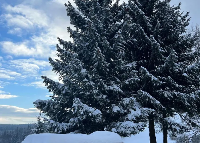 Nasza Duszniki Zdrój